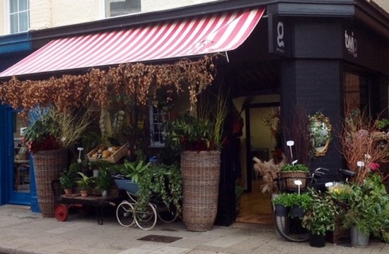 Twig at 19 Queen Street with its striped awning, flowers, plants and tall wicker baskets outside