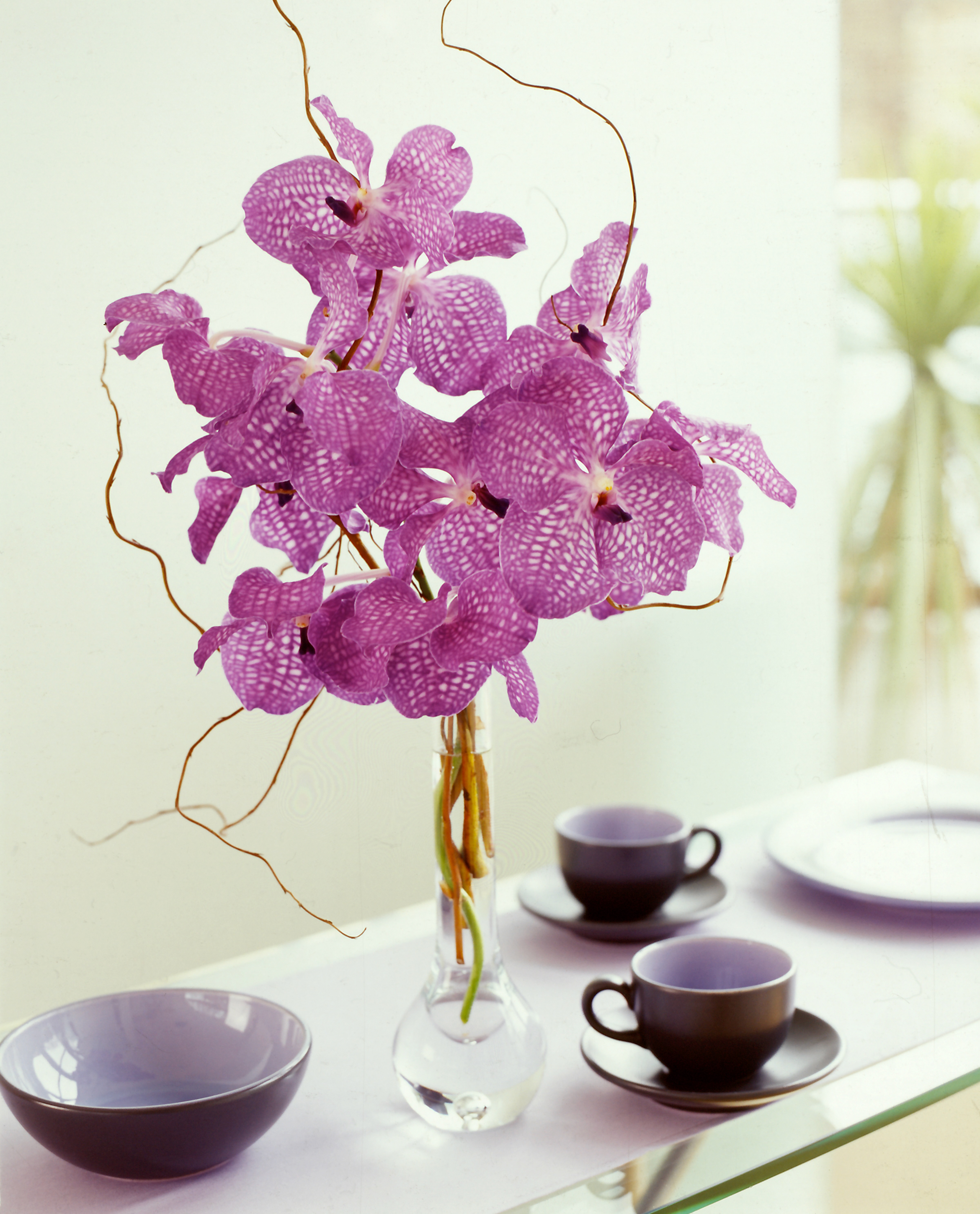 Purple Vanda orchids arranged above a table set with purple cups