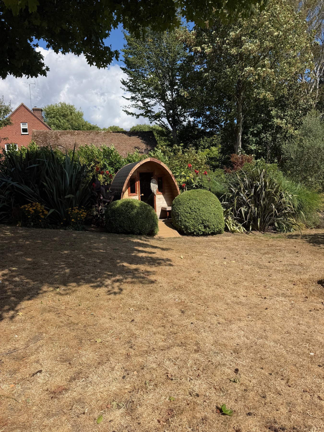 Freshly shaped rounded shrubs beside a garden seat and established planting