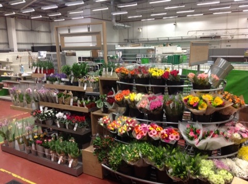 A wider view of the Waitrose flower display showing its layout and grouped colours