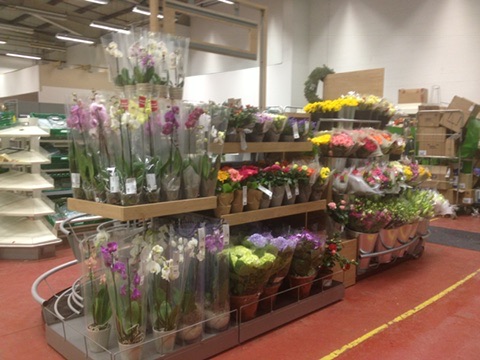 The Waitrose flower and plant display viewed from the side