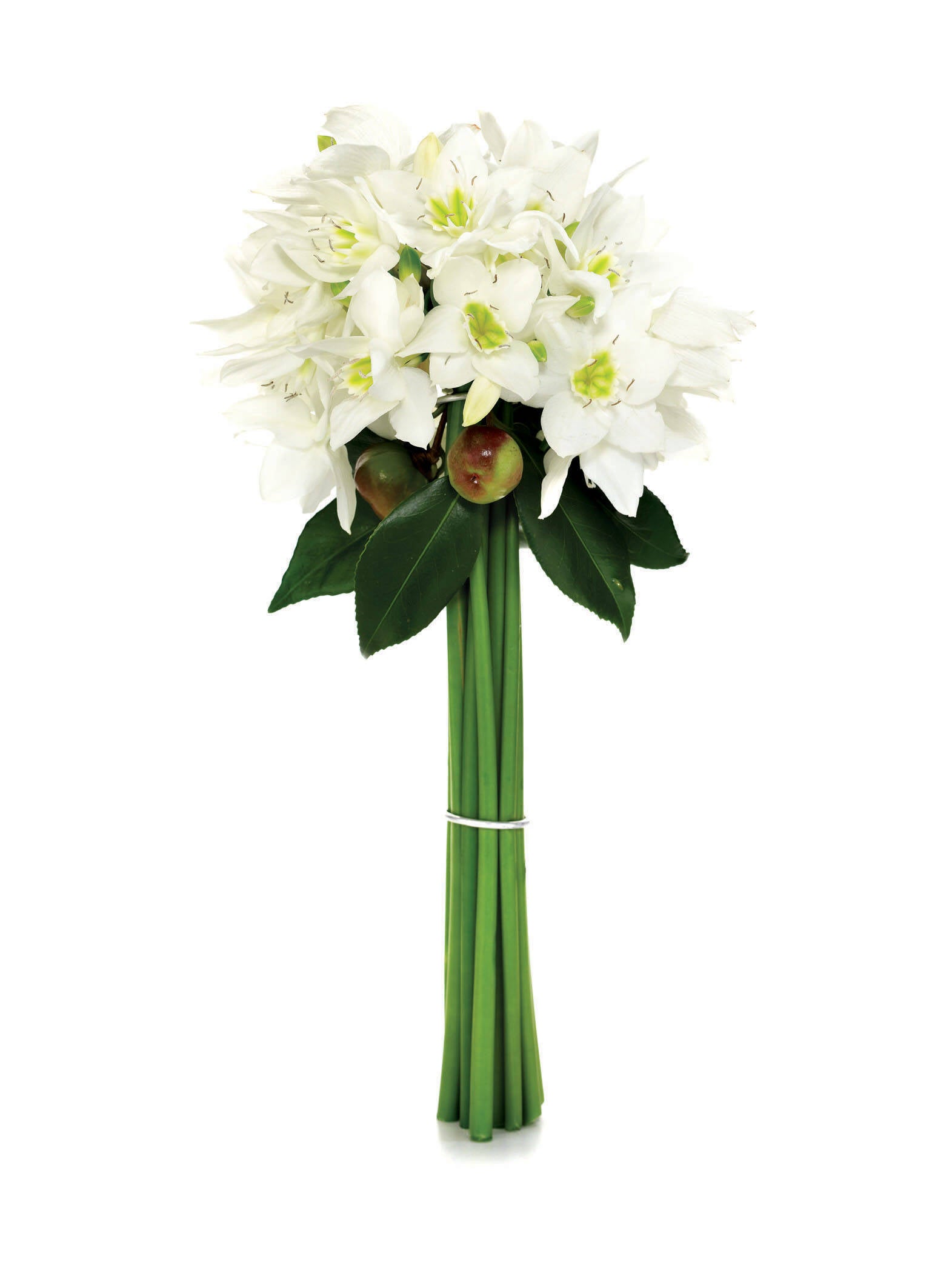 White star-shaped Eucharis flowers, foliage and long bound stems in a sculptural bridal bouquet