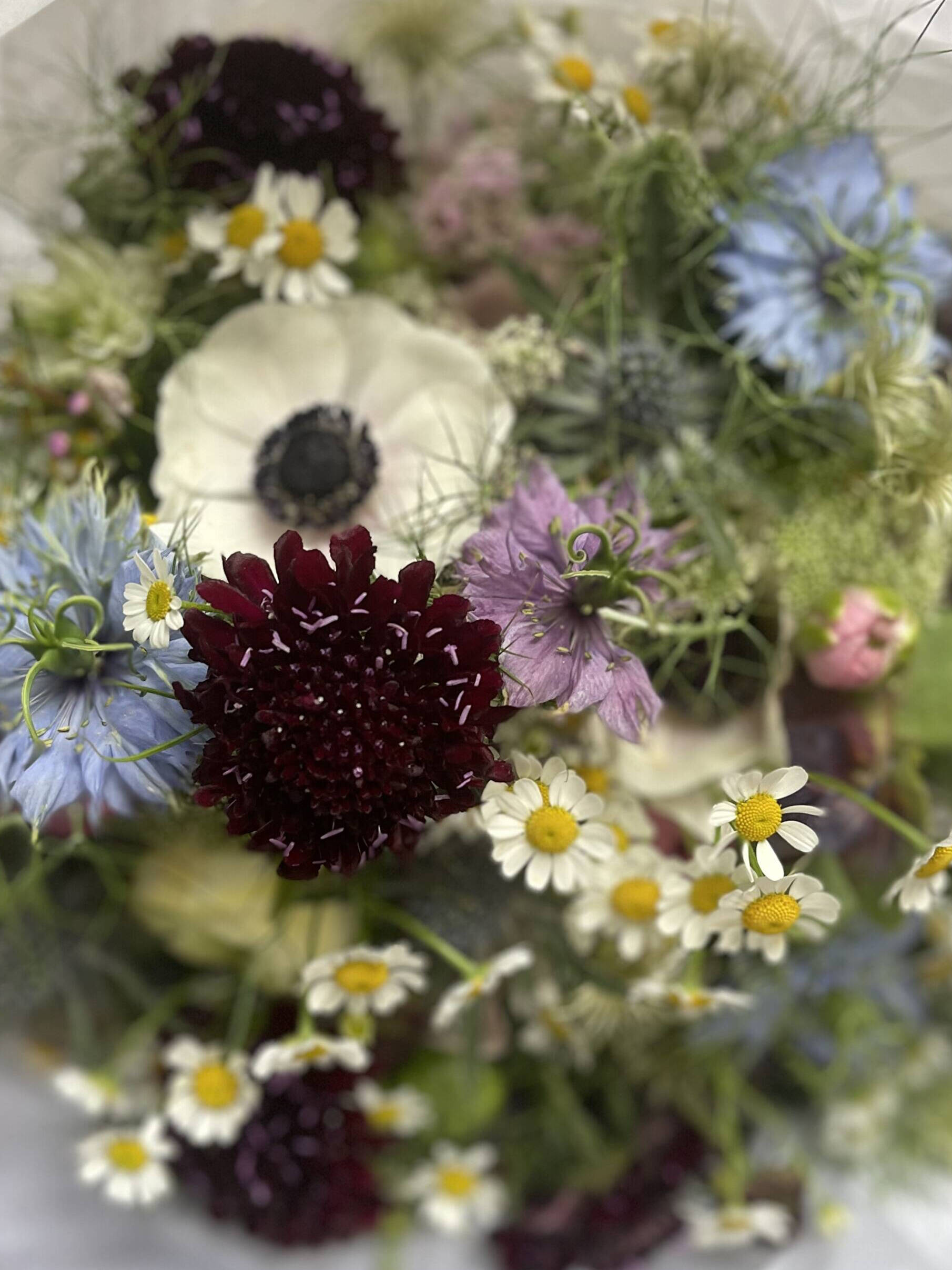 A close view of a meadow-style bouquet with anemones, scabious and small daisies